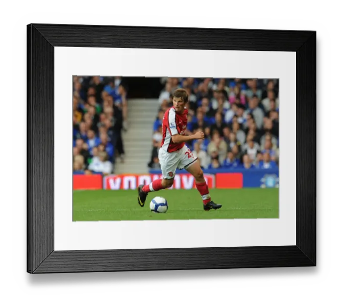 Framed Print : Arshavin's Brilliance: Andrey Arshavin Shines in Arsenal's 1:6 Rout of Everton, Barclays Premier League, 2009