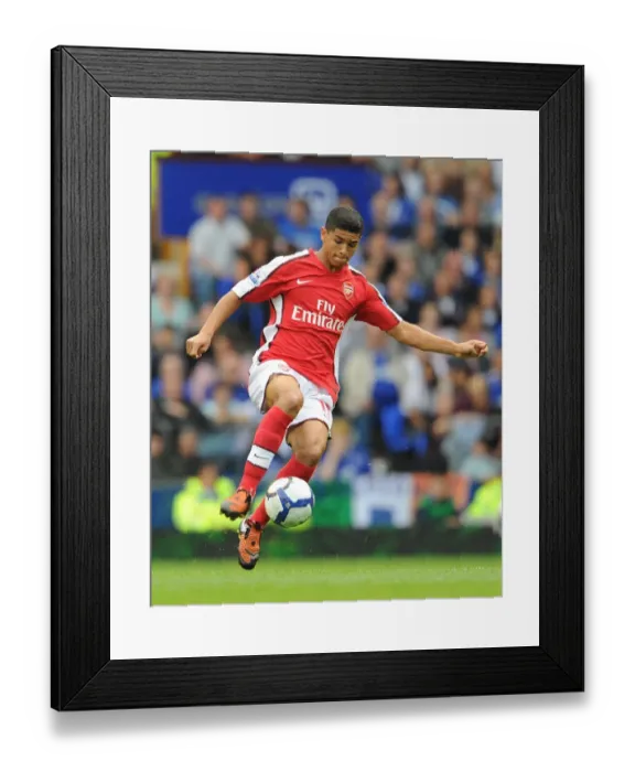 Framed Print : Denilson's Triumph: Arsenal's 1:6 Rout of Everton, August 2009 Framed Print : Denilson's Triumph: Arsenal's 1:6 Rout of Everton, August 2009