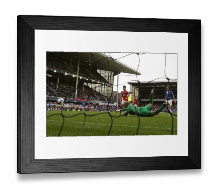 Framed Print : Eduardo shoots past Everton goalkeeper Tim Howard to Framed Print : Eduardo shoots past Everton goalkeeper Tim Howard to