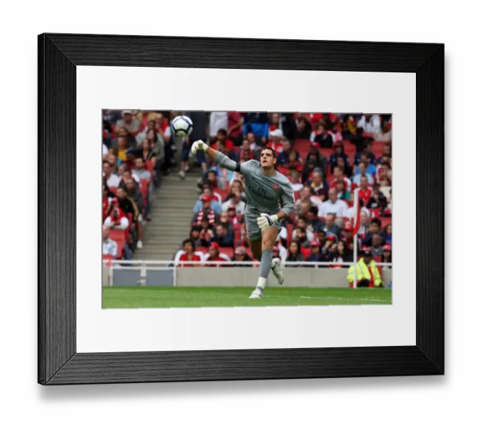 Framed Print : Vito Mannone: Arsenal's Hero in 2:1 Victory over Atletico Madrid, Emirates Cup 2009 Framed Print : Vito Mannone: Arsenal's Hero in 2:1 Victory over Atletico Madrid, Emirates Cup 2009
