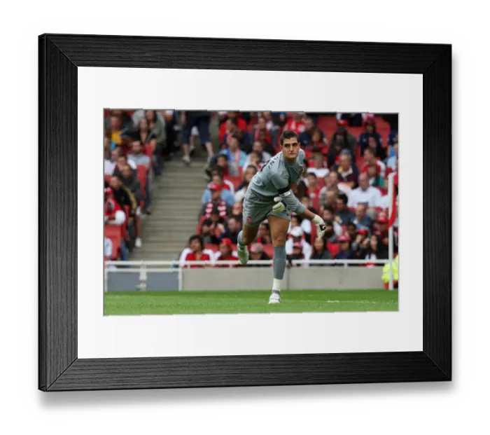 Framed Print : Vito Mannone: Arsenal's Hero in 2:1 Emirates Cup Victory over Atletico Madrid Framed Print : Vito Mannone: Arsenal's Hero in 2:1 Emirates Cup Victory over Atletico Madrid