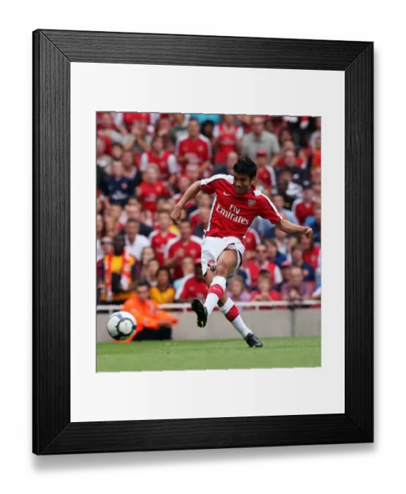 Framed Print : Eduardo's Strike: Arsenal's Dominance over Rangers in the Emirates Cup (3:0)