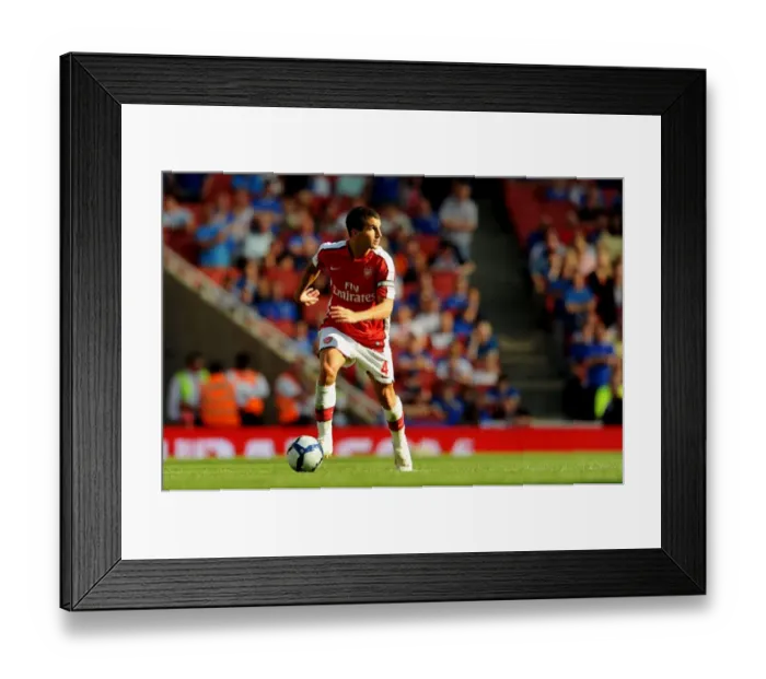 Framed Print : Cesc Fabregas Triumph: Arsenal's 3-0 Victory over Rangers, Emirates Cup Day 2, 2009 Framed Print : Cesc Fabregas Triumph: Arsenal's 3-0 Victory over Rangers, Emirates Cup Day 2, 2009