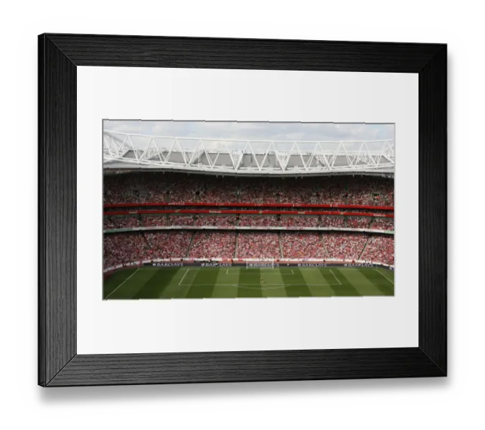 Framed Print : Arsenal goalkeeper Manuel Almunia at Emirates Stadium