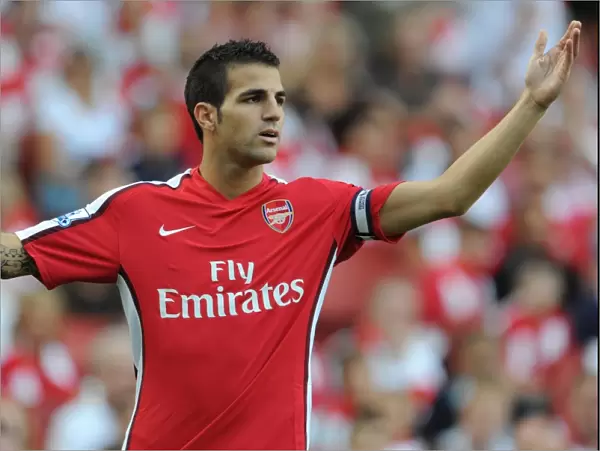 Cesc Fabregas in Action: Arsenal's 4:1 Victory over Portsmouth, Barclays Premier League, Emirates Stadium, London, 2009