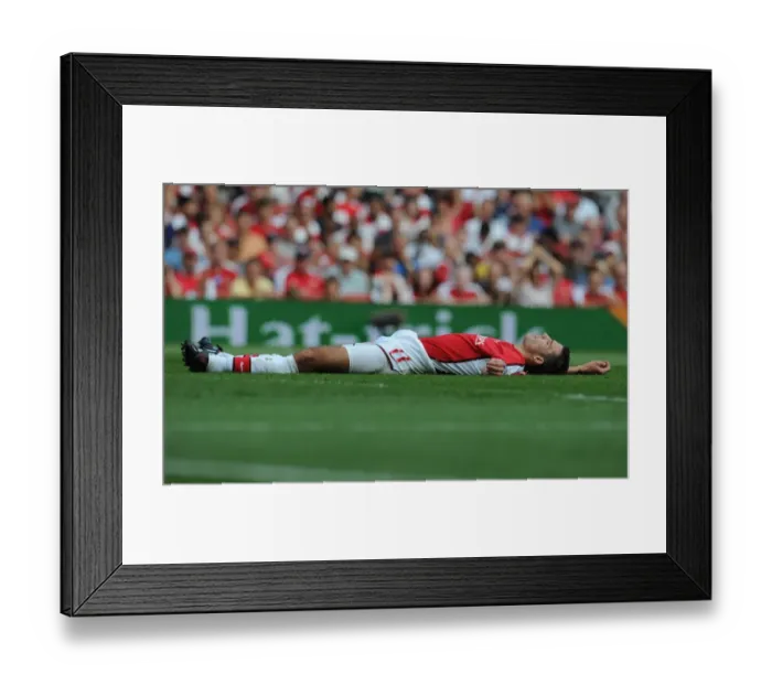 Framed Print : Robin van Persie's Brilliant Performance: Arsenal 4-1 Portsmouth, Premier League, 2009