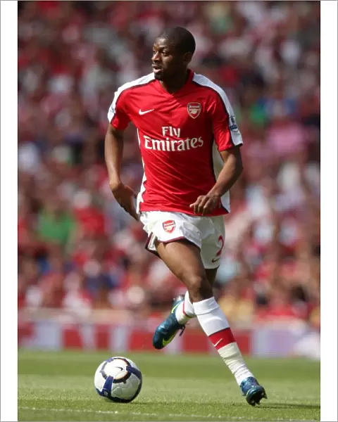 Abou Diaby's Dominant Display: Arsenal's 4:1 Victory Over Portsmouth in the Premier League (2009)