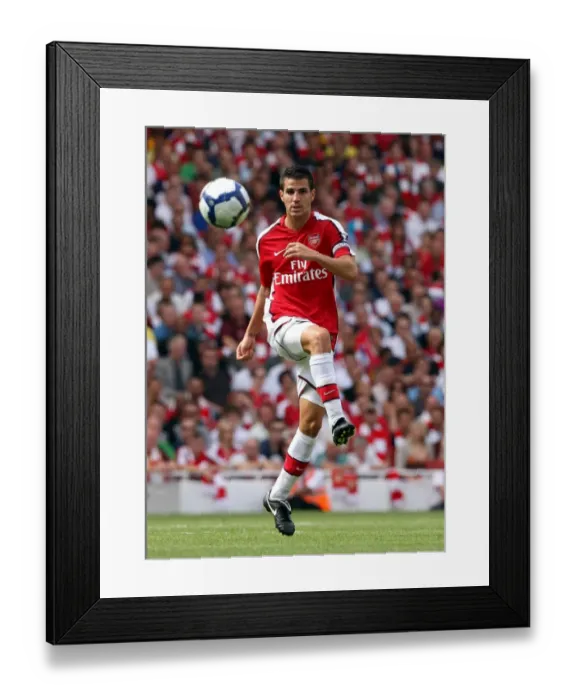 Framed Print : Cesc Fabregas Brilliant Performance: Arsenal's 4-1 Victory over Portsmouth (August 22, 2009)