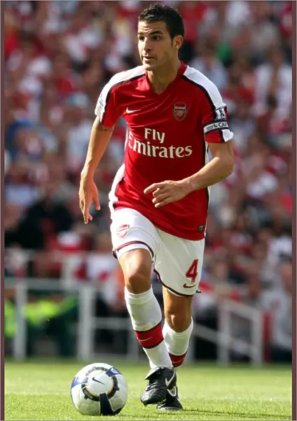 Cesc Fabregas's Dominant Performance: Arsenal's 4-1 Victory over Portsmouth (22 / 8 / 09)
