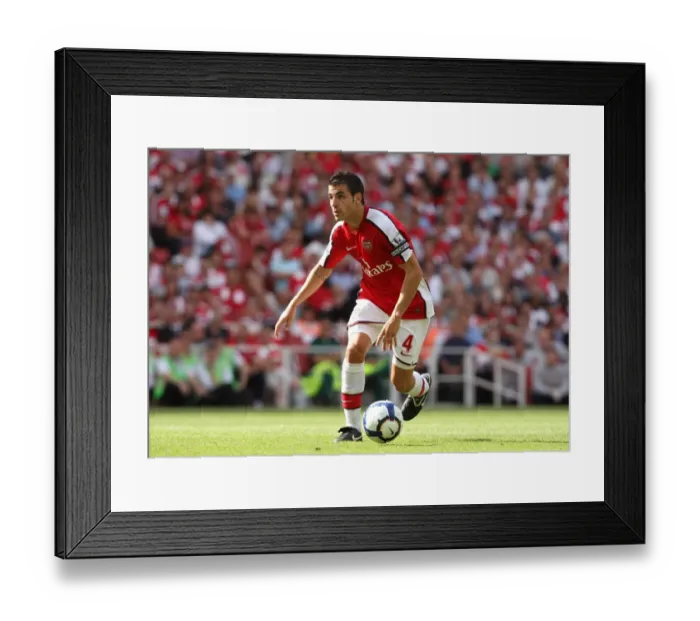 Framed Print : Cesc Fabregas Leads Arsenal to 4-1 Victory over Portsmouth in the Premier League (22 / 8 / 09) Framed Print : Cesc Fabregas Leads Arsenal to 4-1 Victory over Portsmouth in the Premier League (22 / 8 / 09)