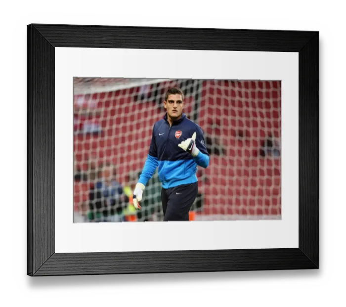 Framed Print : Vito Mannone's Triumph: Arsenal's 3:1 Victory Over Celtic in the UEFA Champions League Qualifier (2009)