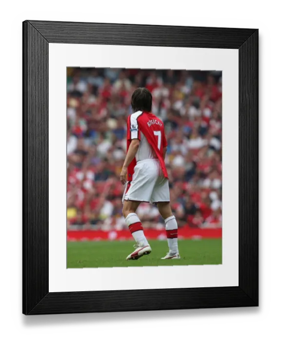 Framed Print : Arsenal's Rosicky Shines: 4-0 Crush of Wigan Athletic in Premier League