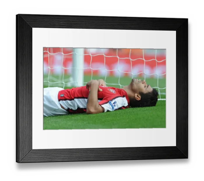 Framed Print : Arsenal's Eduardo Scores Brace in Dominant 4-0 Win over Wigan Athletic at Emirates Stadium (2009)