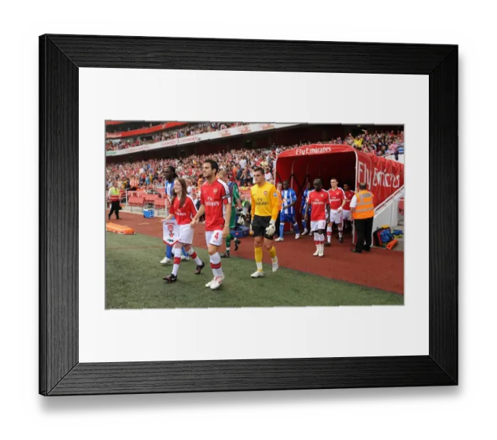 Framed Print : Arsenal captain Cesc Fabregas followed by Vito Mannone