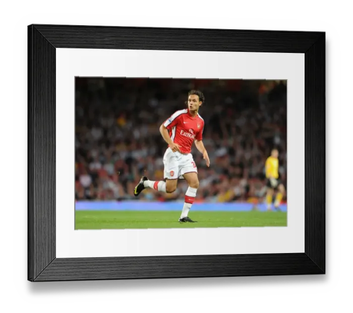 Framed Print : Nacer Barazite Scores for Arsenal: 2-0 Win Over West Bromich Albion in Carling Cup Framed Print : Nacer Barazite Scores for Arsenal: 2-0 Win Over West Bromich Albion in Carling Cup
