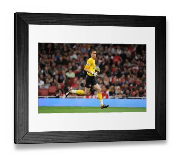 Framed Print : Arsenal's Szczesny Shines: 2-0 Carling Cup Triumph Over West Brom Framed Print : Arsenal's Szczesny Shines: 2-0 Carling Cup Triumph Over West Brom