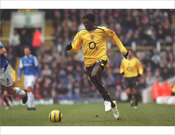 Emmanuel Adebayor (Arsenal). Birmingham City 0: 2 Arsenal
