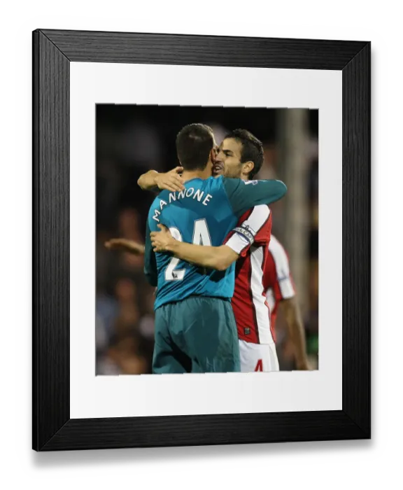 Framed Print : Cesc Fabregas and Vito Mannone (Arsenal) at the end of the match Framed Print : Cesc Fabregas and Vito Mannone (Arsenal) at the end of the match