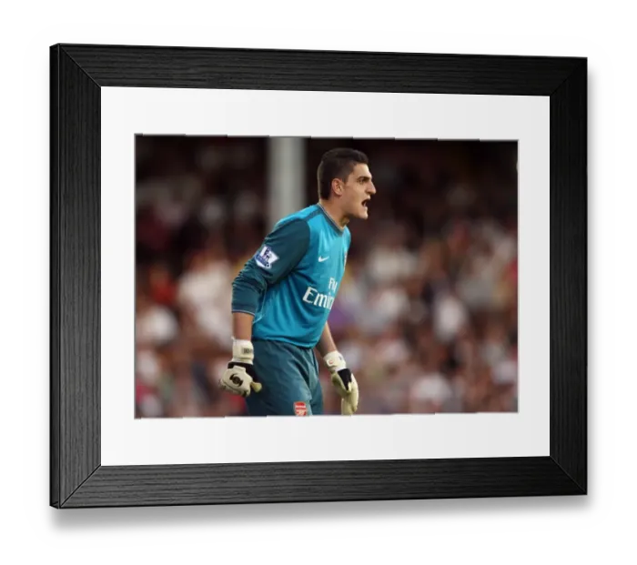 Framed Print : Vito Mannone's Triumph: Arsenal's 1-0 Victory at Fulham, 2009