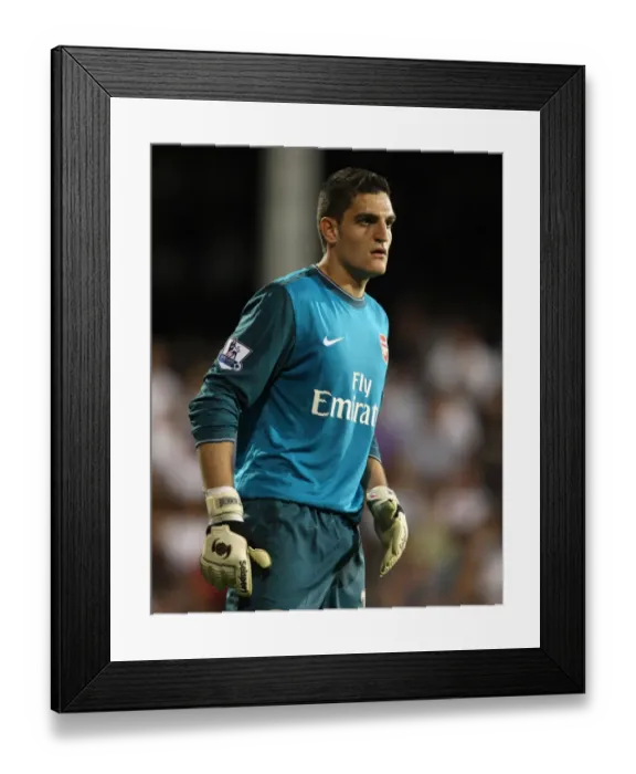 Framed Print : Vito Mannone's Victory: Arsenal's 1-0 Triumph Over Fulham, 2009 Framed Print : Vito Mannone's Victory: Arsenal's 1-0 Triumph Over Fulham, 2009