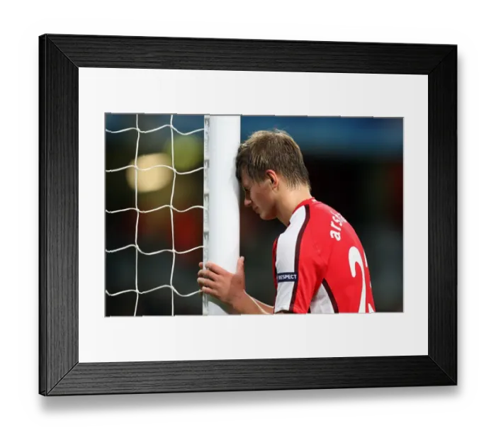 Framed Print : Andrey Arshavin Scores Brace: Arsenal 2-0 Olympiacos, UEFA Champions League, Group H, Emirates Stadium (September 29, 2009)