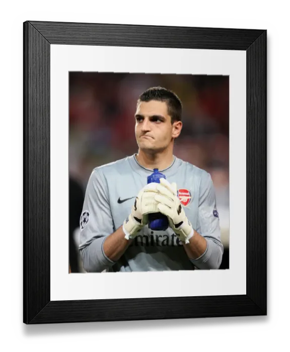 Framed Print : Vito Mannone's Shutout: Arsenal 2-0 Olympiacos, UEFA Champions League Group H, Emirates Stadium (September 29, 2009) Framed Print : Vito Mannone's Shutout: Arsenal 2-0 Olympiacos, UEFA Champions League Group H, Emirates Stadium (September 29, 2009)