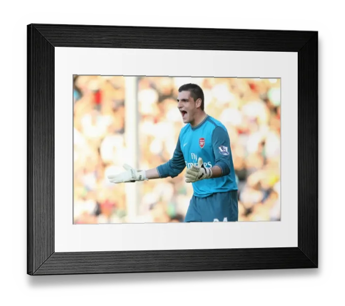 Framed Print : Vito Mannone's Winning Debut: Arsenal's 1-0 Victory Over Fulham in the Premier League Framed Print : Vito Mannone's Winning Debut: Arsenal's 1-0 Victory Over Fulham in the Premier League