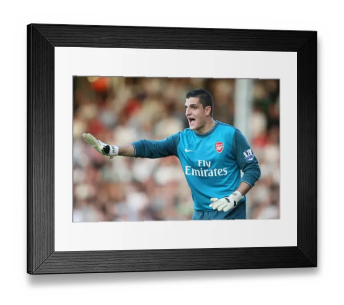 Framed Print : Vito Mannone's Winning Debut: Arsenal 1-0 Fulham, Barclays Premier League, 2009 Framed Print : Vito Mannone's Winning Debut: Arsenal 1-0 Fulham, Barclays Premier League, 2009