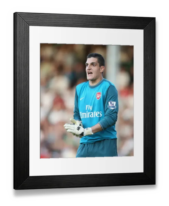 Framed Print : Vito Mannone's Heroic Performance: Arsenal's 1-0 Victory at Fulham, 2009