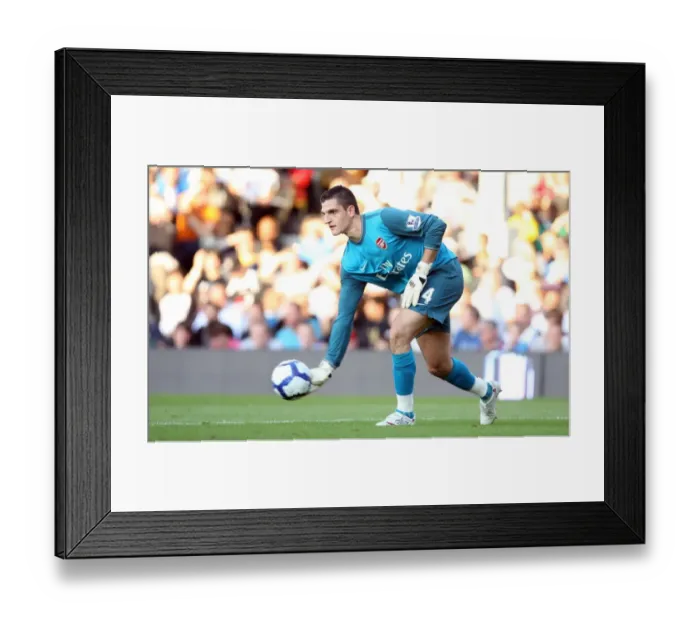 Framed Print : Vito Mannone: The Hero of Arsenal's 1-0 Victory over Fulham in the Barclays Premier League Framed Print : Vito Mannone: The Hero of Arsenal's 1-0 Victory over Fulham in the Barclays Premier League