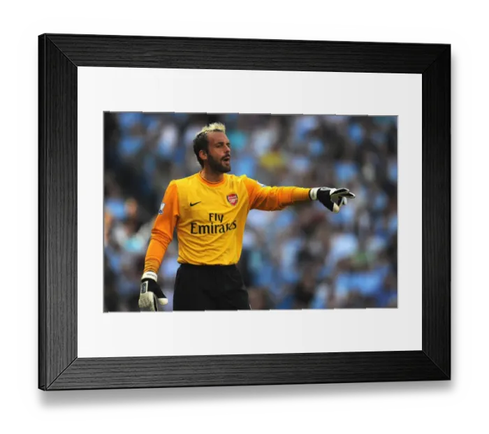 Framed Print : Manuel Almunia's Heartbreak at Eastlands: Manchester City 4-2 Arsenal, 2009