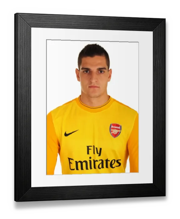 Framed Print : Vito Mannone at Emirates Stadium, Arsenal Football Club, London, 2009 Framed Print : Vito Mannone at Emirates Stadium, Arsenal Football Club, London, 2009