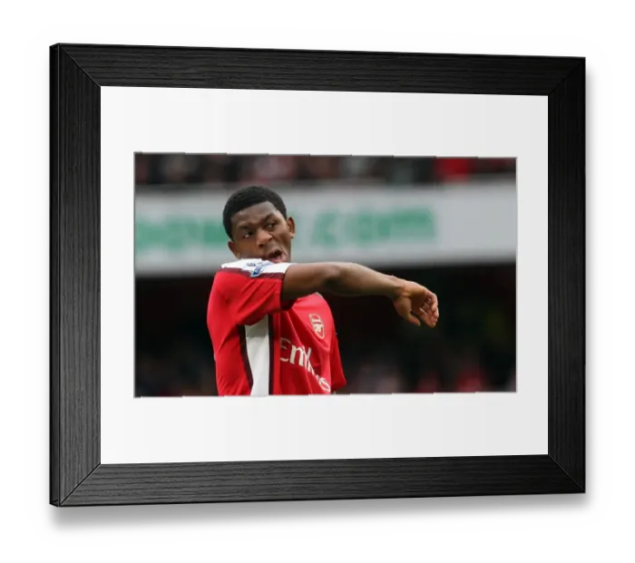 Framed Print : Abou Diaby in Action: Arsenal's Triumph over Birmingham City (3:1), Barclays Premier League, Emirates Stadium (17 / 10 / 09) Framed Print : Abou Diaby in Action: Arsenal's Triumph over Birmingham City (3:1), Barclays Premier League, Emirates Stadium (17 / 10 / 09)