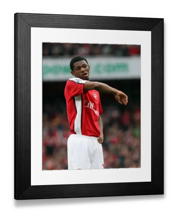 Framed Print : Arsenal's Triumph: Abou Diaby Stars in 3:1 Barclays Premier League Win vs. Birmingham City (17 / 10 / 09) Framed Print : Arsenal's Triumph: Abou Diaby Stars in 3:1 Barclays Premier League Win vs. Birmingham City (17 / 10 / 09)