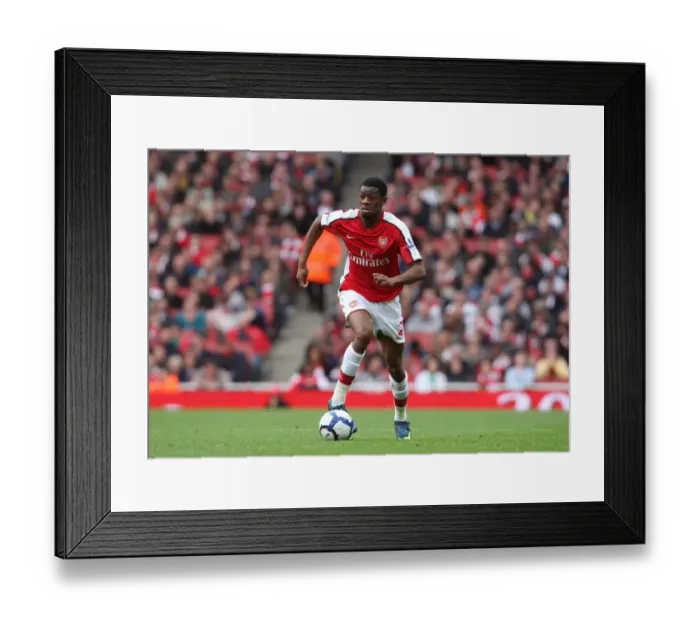 Framed Print : Arsenal's Triumph: Abou Diaby Shines in 3:1 Barclays Premier League Victory over Birmingham City (17 / 10 / 09)