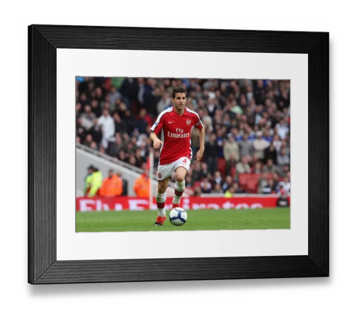 Framed Print : Cesc Fabregas in Action: Arsenal's Triumph over Birmingham City (3:1), Barclays Premier League, Emirates Stadium (17 / 10 / 09)