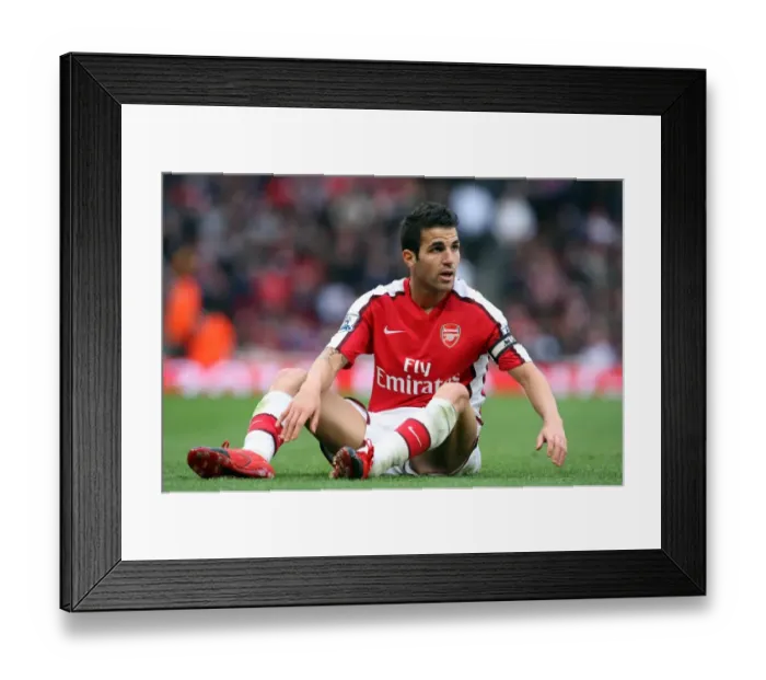 Framed Print : Cesc Fabregas Brilliant Performance: Arsenal's 3-1 Barclays Premier League Victory over Birmingham City (17 / 10 / 09) Framed Print : Cesc Fabregas Brilliant Performance: Arsenal's 3-1 Barclays Premier League Victory over Birmingham City (17 / 10 / 09)