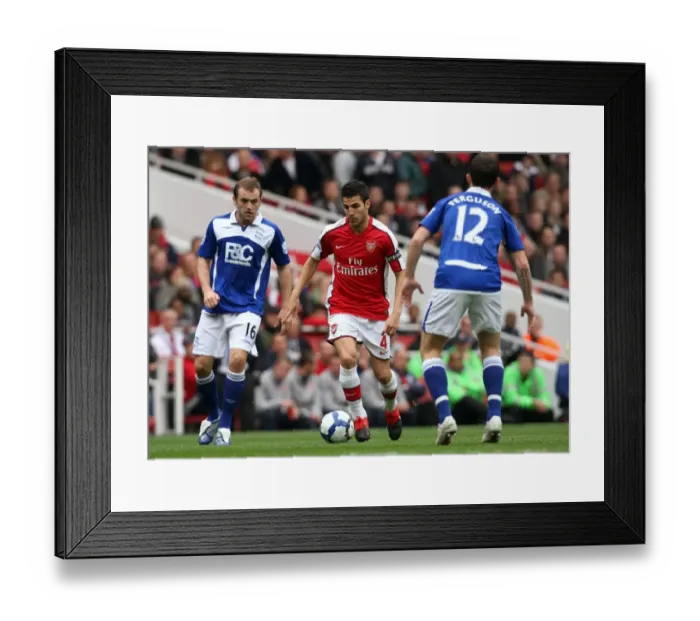 Framed Print : Cesc Fabregas Leads Arsenal to Victory over Birmingham City: 3-1 in the Barclays Premier League
