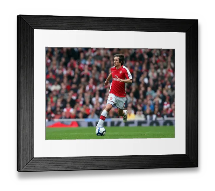 Framed Print : Arsenal's Triumph: Rosicky's Glory in Arsenal's 3-1 Victory over Birmingham City (17 / 10 / 09) Framed Print : Arsenal's Triumph: Rosicky's Glory in Arsenal's 3-1 Victory over Birmingham City (17 / 10 / 09)