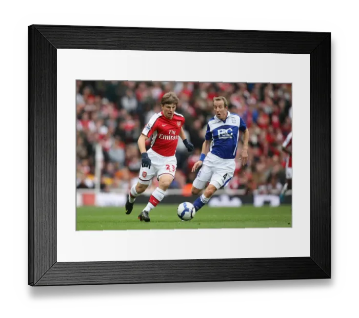Framed Print : Arshavin's Brilliance: Arsenal's Triumph Over Birmingham City (3-1) Framed Print : Arshavin's Brilliance: Arsenal's Triumph Over Birmingham City (3-1)