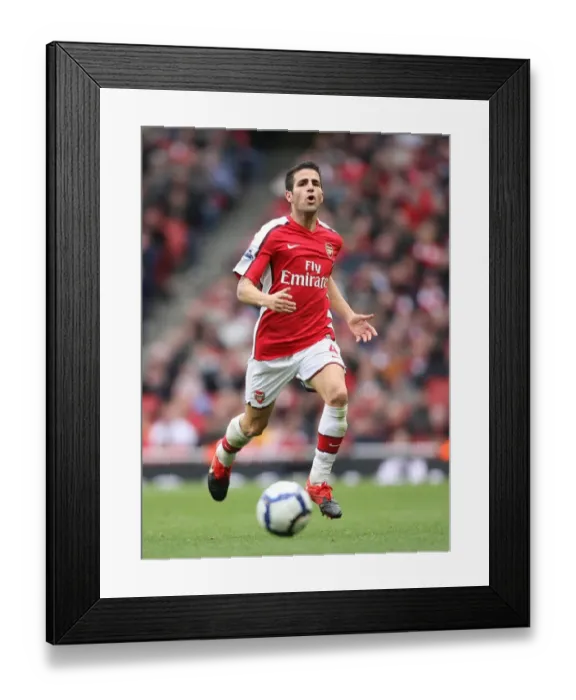 Framed Print : Cesc Fabregas Leads Arsenal to 3:1 Victory over Birmingham City (17 / 10 / 09) Framed Print : Cesc Fabregas Leads Arsenal to 3:1 Victory over Birmingham City (17 / 10 / 09)
