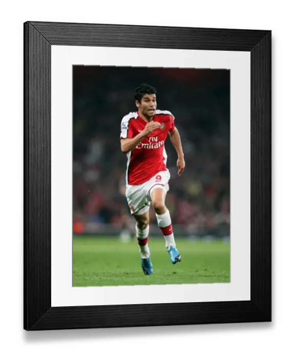 Framed Print : Eduardo's Strike: Arsenal's 2-1 Victory Over Liverpool in the Carling Cup Framed Print : Eduardo's Strike: Arsenal's 2-1 Victory Over Liverpool in the Carling Cup