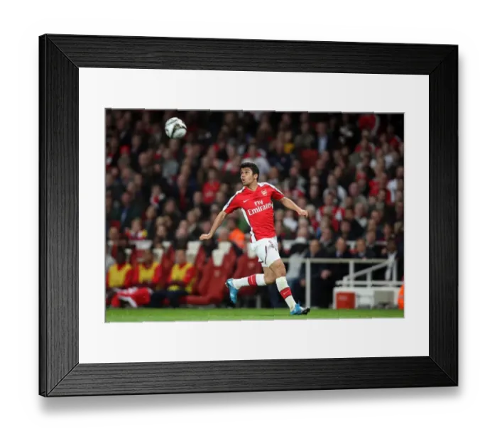 Framed Print : Thrilling Eduardo Strike: Arsenal's Win Over Liverpool in the Carling Cup (4-1-09) Framed Print : Thrilling Eduardo Strike: Arsenal's Win Over Liverpool in the Carling Cup (4-1-09)