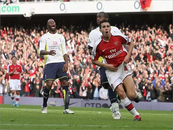 Fabregas's Brilliant Goal: Arsenal's 3-0 Crush of Tottenham, Barclays Premier League, 2009