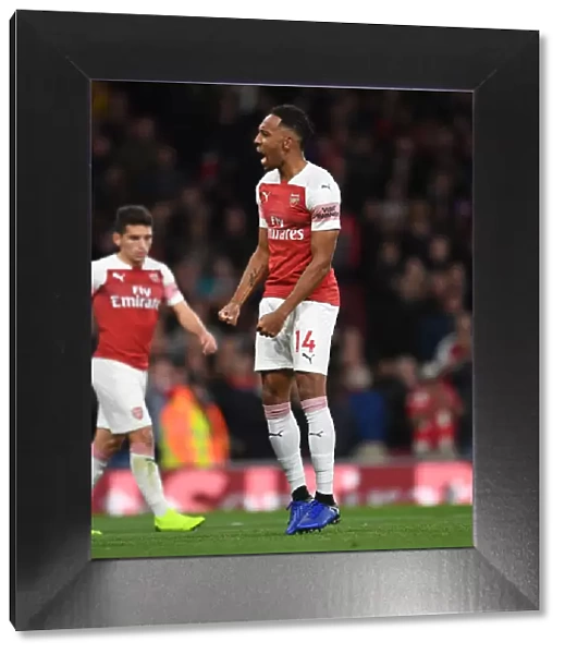 Arsenal's Aubameyang Scores Second Goal Against Leicester City (2018-19)