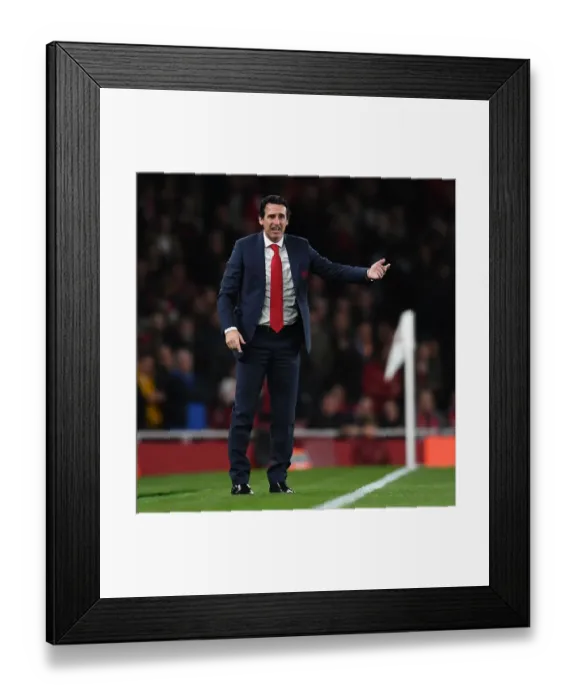 Framed Print : Emery 1 181022WAFC Framed Print : Emery 1 181022WAFC