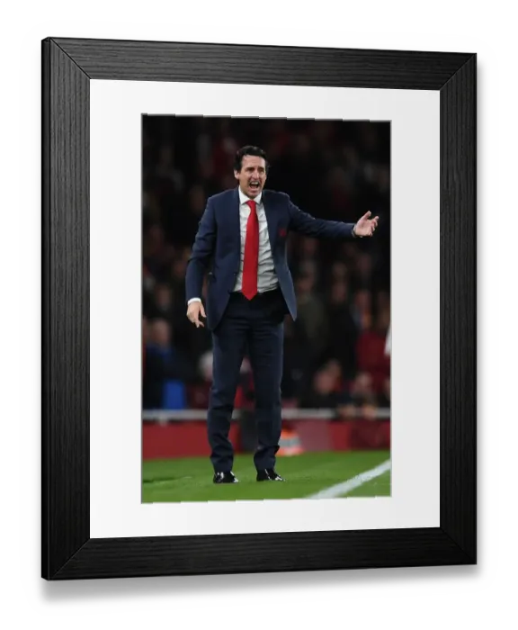 Framed Print : Emery 2 181022WAFC Framed Print : Emery 2 181022WAFC