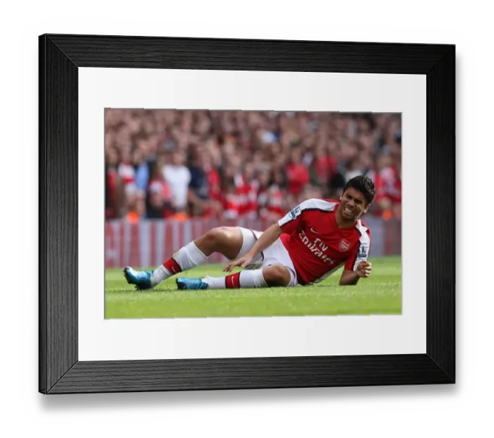Framed Print : Eduardo's Hat-Trick: Arsenal's Triumphant 3-0 Victory Over Tottenham in the Premier League (October 31, 2009) Framed Print : Eduardo's Hat-Trick: Arsenal's Triumphant 3-0 Victory Over Tottenham in the Premier League (October 31, 2009)