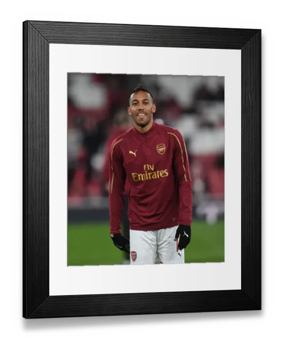 Framed Print : Aubameyang's Roar: Arsenal's Star Forward Gears Up for Carabao Cup Battle Against Blackpool Framed Print : Aubameyang's Roar: Arsenal's Star Forward Gears Up for Carabao Cup Battle Against Blackpool