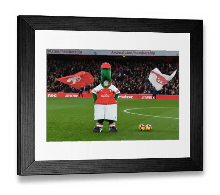 Framed Print : Gunnersaurus: Arsenal's Iconic Mascot Before Arsenal vs. Wolverhampton Wanderers, Premier League 2018-19 Framed Print : Gunnersaurus: Arsenal's Iconic Mascot Before Arsenal vs. Wolverhampton Wanderers, Premier League 2018-19